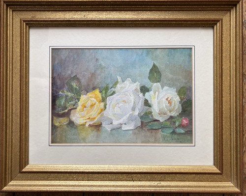 Jetée roses anne - roses,