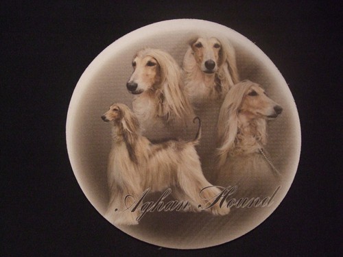 Tapis souris levrier - souris,