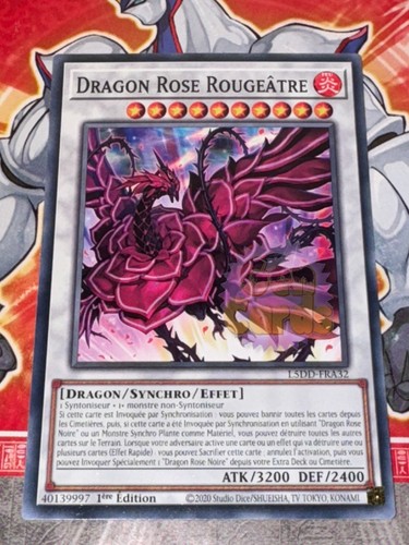 Carte dragon rose - gi,