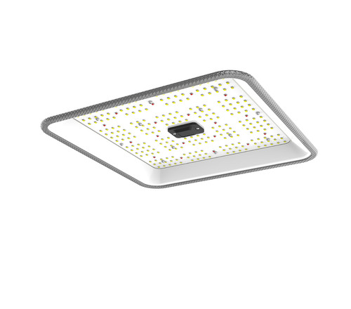 Ortoled quantum board lampe - quantum,