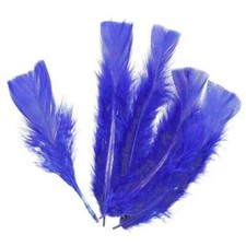 Plumes pied plat de dinde - 5