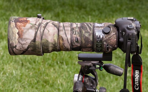 Sigma 150 600mm - f, 6.3