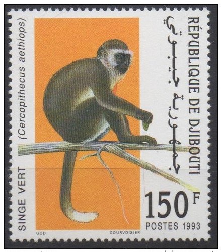 Djibouti 1993 582 neuf - 1993,