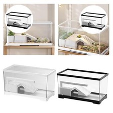 Rampe d'escalade pour aquarium de tortues, accessoire pour animaux de