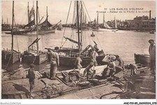 ANZP10-0748-85 - LES