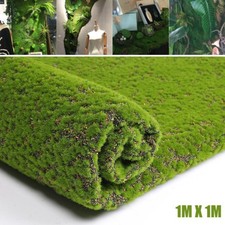Mousse Artificielle Tapis