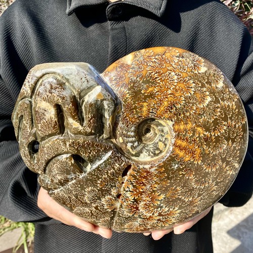 3lb rare natural - 6.3lb, rare!