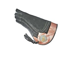 Eagle Gant, Fauconnerie &