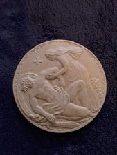 médaille Croix Rouge terre