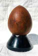 COLOQUINTE GRAVE DECOR CALLIGRAPHIE JAPONAISE JAPON ASIATIQUE 19EME XIXEME