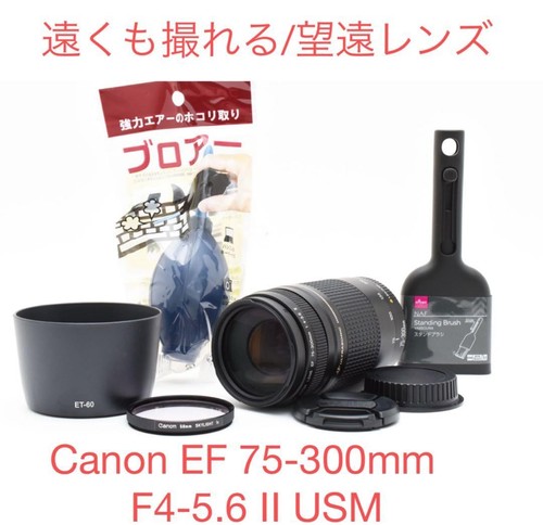 Objectif téléobjectif canon - objectif,