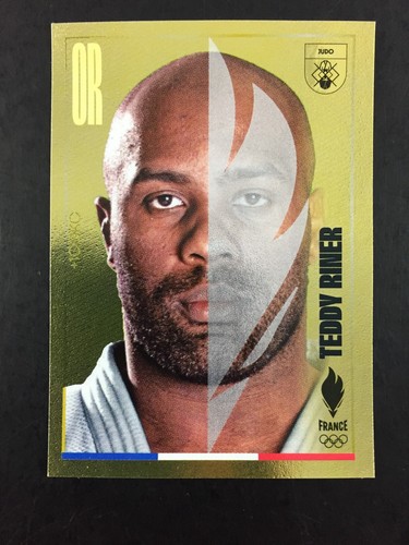 Teddy riner sticker - teddy,