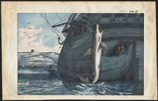1870 Gravure originale aquarellée Pêche au requin Bateau