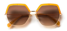 250€ Grandes Lunettes de