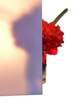 Plaque polycarbonate - plaque,