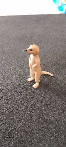 Animal suricate zoo desert - animal,