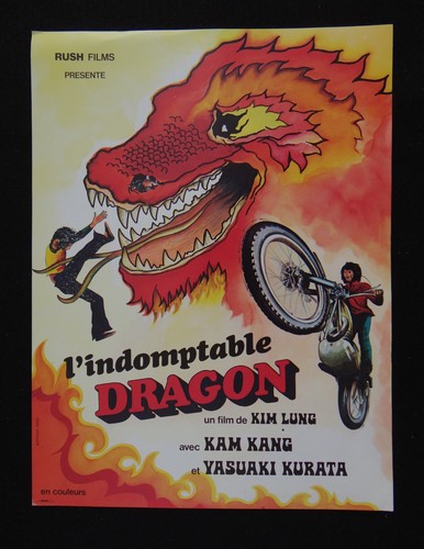 Indomptable dragon photo - dragon,