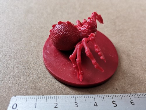 Araignee poison miniature - araignee,