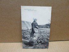 Berry agriculture - berry,