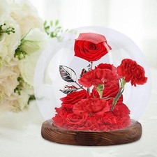 Verre Cloche Globe Dôme Micro Paysage Rond avec Base Vitrine
