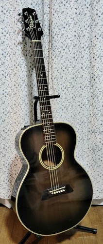 Takamine 105 acoustic - pt-105,