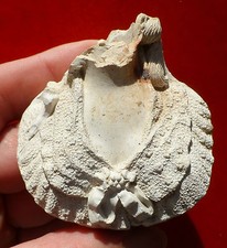 PIPE CRETAL ET GALLARD , RENNES SOUS NAPOLEON III