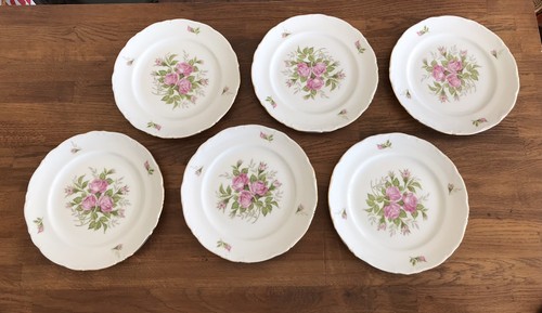 Winterling assiette plate lot - winterling,