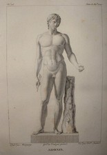 FGH 096 Burin XIXe ADONIS