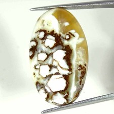 19,30Cts Opale Sauvage En