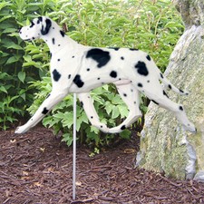 Great Dane Extérieur Jardin