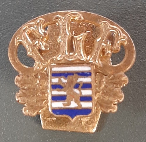 Rare insigne luxembourg - rare,