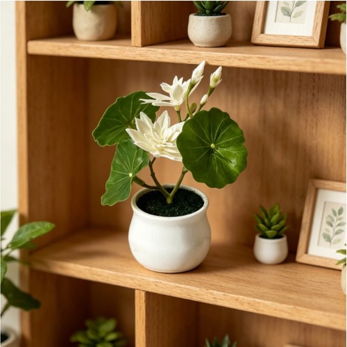 Plante pot nénuphar - pot, de