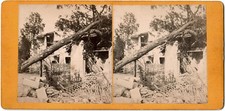 Asnières.Maison en Ruine.Arbre couché.Original Albumen.Photo Stereo Albuminée.
