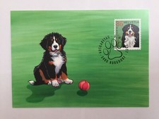 Carte maximum timbre Suisse 2007 YT CH 1927. Bouvier bernois. Chien