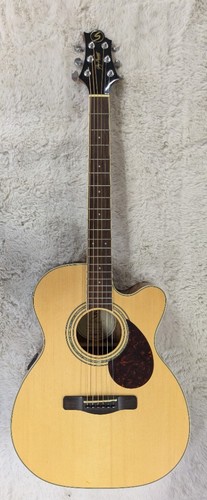 2009 samick greg bennett - 2009,