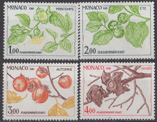 Monaco - Les quatre saisons du plaqueminier