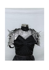 Armure GN en acier ensemble