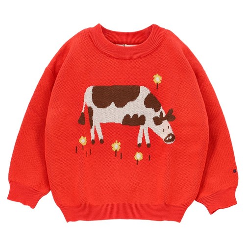 Bobo choses pull aventure - choses,