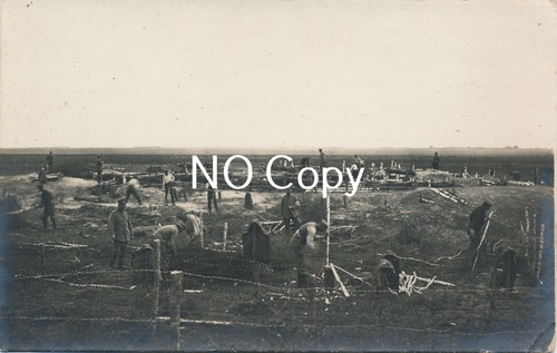 Wk1 carte postale - champ, de