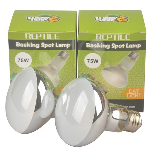 Lot ampoules pour lampe - lot,