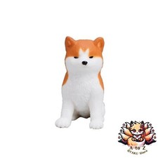 NEW [1. Sitting] Akita Inu 3