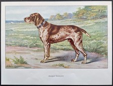 Braque français Reproduction couleur 1960 François Castellan