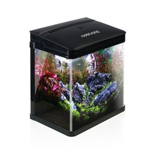 Aquarium en Verre avec