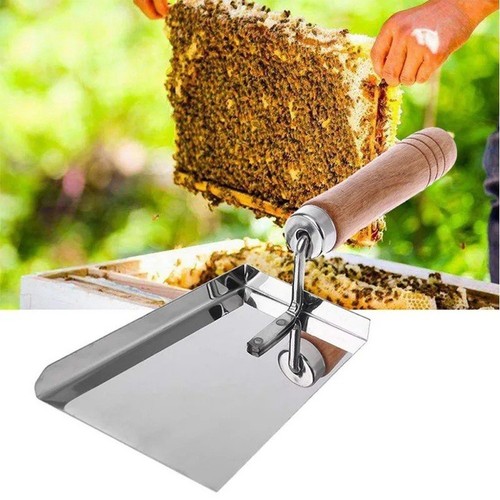 Pour apiculture tamis spatule - apiculture,