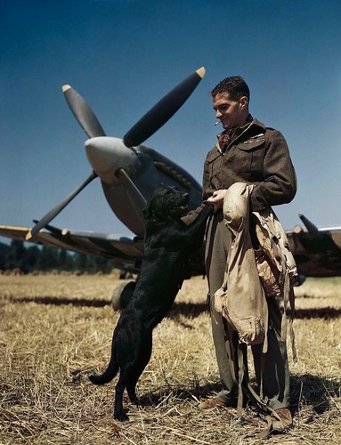 Ww2 ace johnnie - ace,