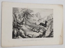 Gravure, Chasse : CHASSE AU