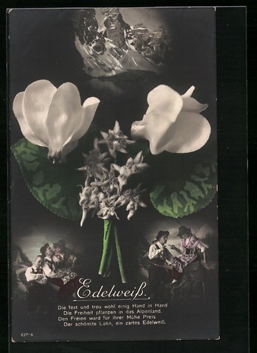 Edelweiss paire costume - paire, en