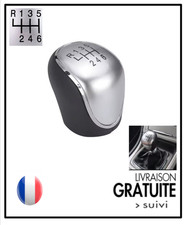 Pommeau levier 6 vitesses POUR