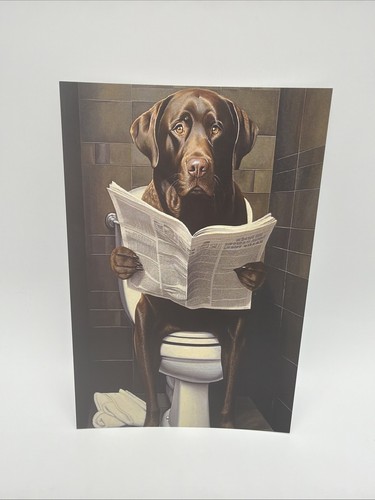 Affiche humoristique labrador - affiche,