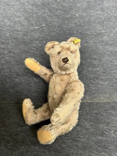 Rare ours ancien steiff - ours,